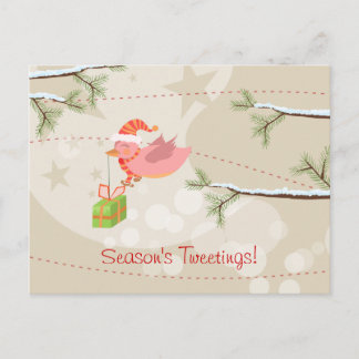 Cute Snow Bird Christmas Postcard