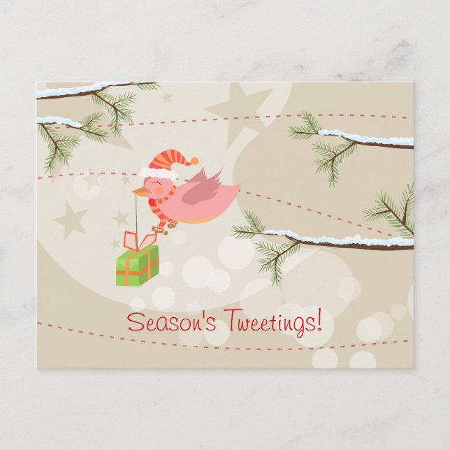 Cute Snow Bird Christmas Postcard (Front)