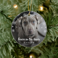 Cute Snowflakes Dog Photo Pet Memorial