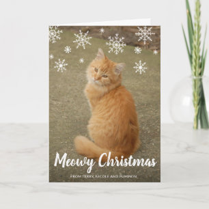 Cute Snowflakes Photo Cat Meowy Christmas Holiday Card