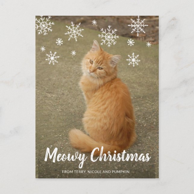 Cute Snowflakes Photo Cat Meowy Christmas Holiday Postcard (Front)