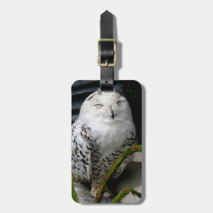 Cute Snowy Owl Luggage Tag