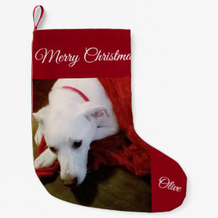 Cute Snowy White Lab Mix Dog Christmas Stocking