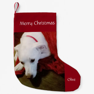 Cute Snowy White Puppy Dog Christmas Small Christmas Stocking