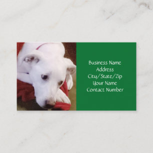 Cute Snowy White Puppy Dog Green Christmas Business Card