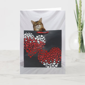 Cute Somali Cat in Bag Valentine's Day Card