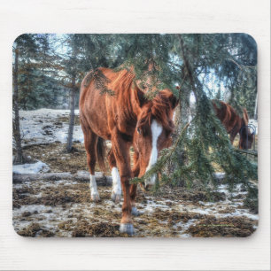 Cute Sorrel Mare and Branches Horse-lover Gift Mouse Pad