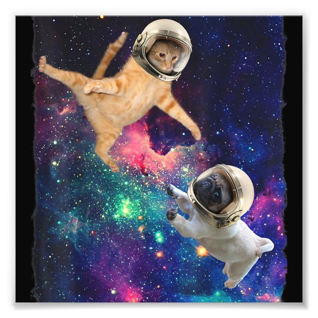 Cute Space Cat vs Space Dog Galaxy Epic Fight In O Photo Print (Front)