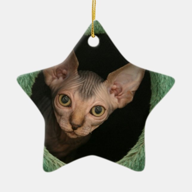 Cute sphynx kitten ceramic tree decoration (Front)