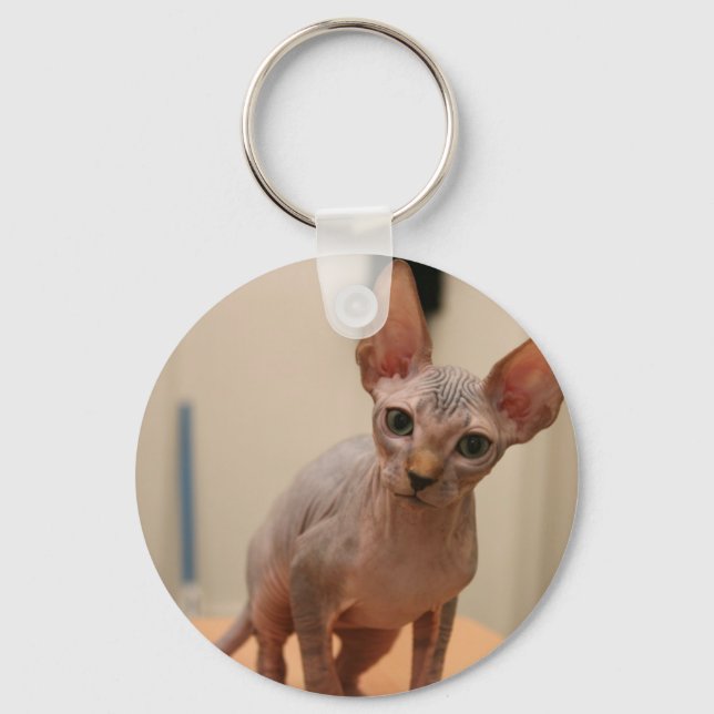 Cute sphynx kitten "I'm furless, are you?" Key Ring (Front)