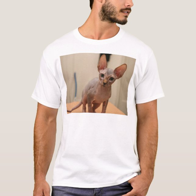 Cute sphynx kitten "I'm furless, are you?" T-Shirt (Front)