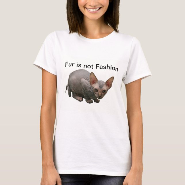 Cute sphynx kitten T-Shirt (Front)