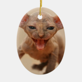 Cute sphynx kitten with tongue out ceramic tree decoration