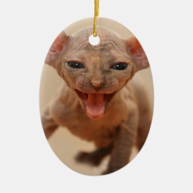 Cute sphynx kitten with tongue out ceramic tree decoration (Front)