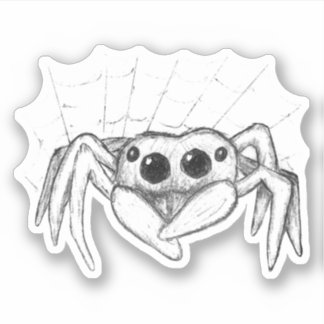 Cute Spider and Web Sketch