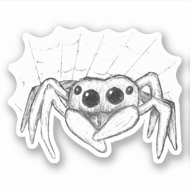 Cute Spider and Web Sketch (Front)