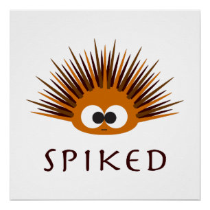Cute Spiked Orange Sea Urchin Poster