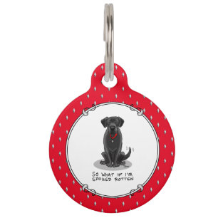 Cute Spoiled Rotten Black Labrador Retriever Dog Pet Tag