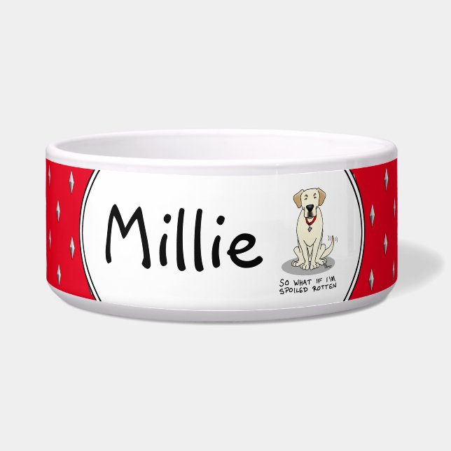 Cute Spoiled Rotten Yellow Labrador Retriever Dog (Front)