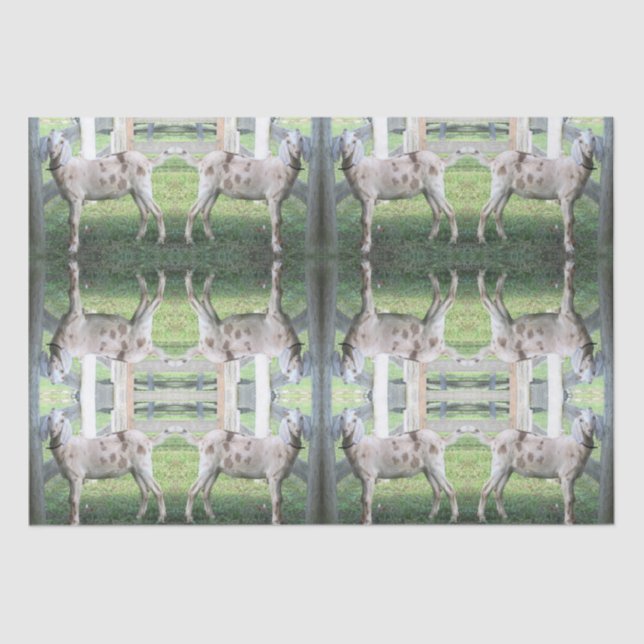 Cute Spotted Floppy Eared Goat Tissue Paper (Front)