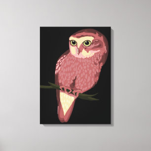Cute Spotted Owl Canvas Print