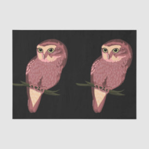 Cute Spotted Owl Tissue Paper