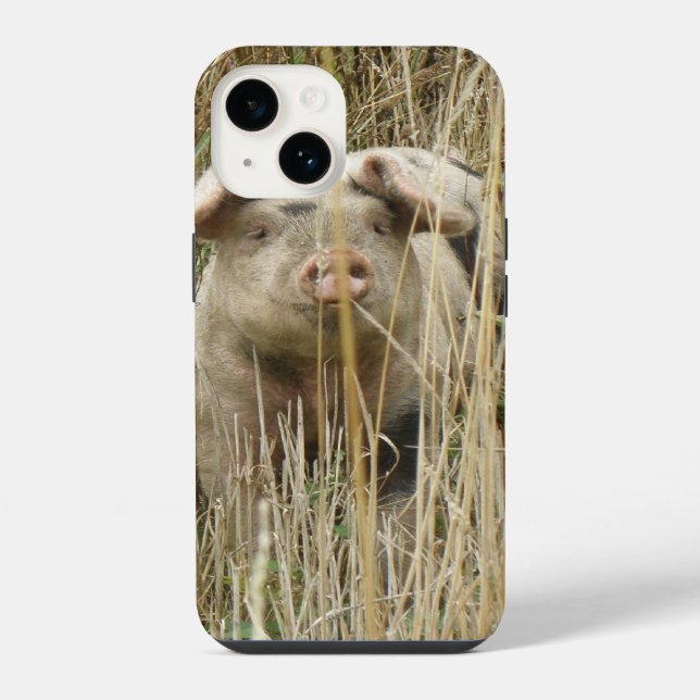 Cute Spotty Pig iPhone Case (Back)
