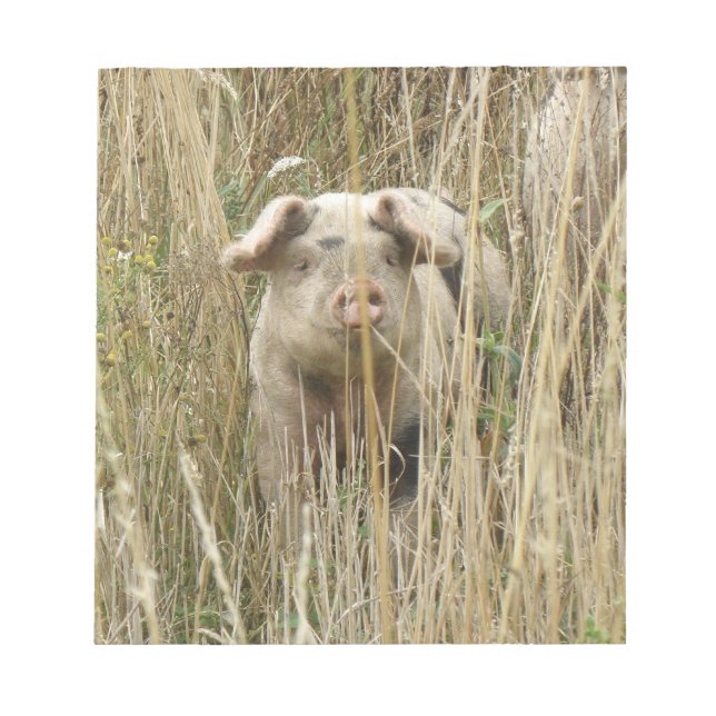 Cute Spotty Pig Notepad (Front)