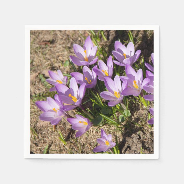 Cute spring crocuses napkin (Front)