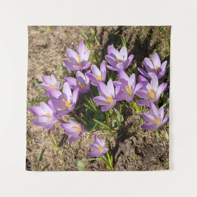 Cute spring crocuses tapestry (Front)