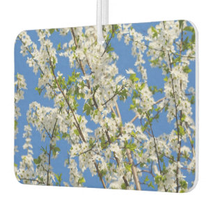 Cute Spring flowers and blue sky theme Car Air Freshener