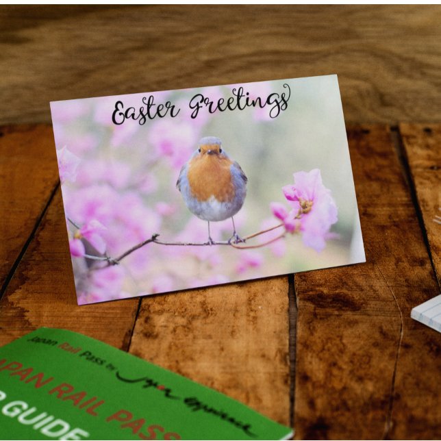 Cute Spring Robin Bird Easter Greetings Blossoms Postcard (Creator Uploaded)