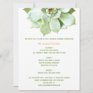 Cute Spring Succulent Wedding Itinerary Enclosure Invitation