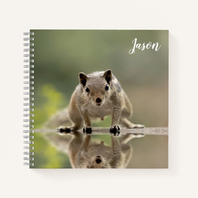 Cute Squirrel Animal Notebook (Front)