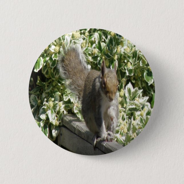 Cute Squirrel Button (Front)