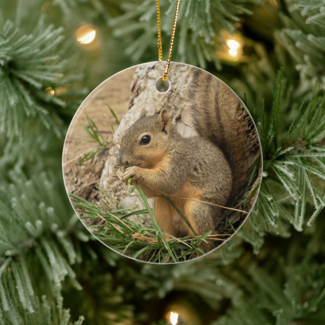 Cute Squirrel Christmas Tree Ornament (Tree)