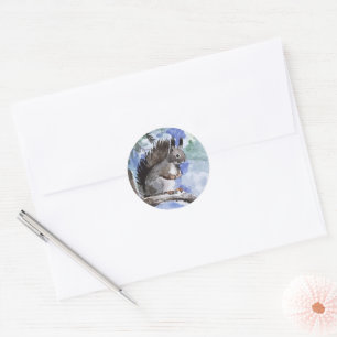 Cute squirrel classic round sticker