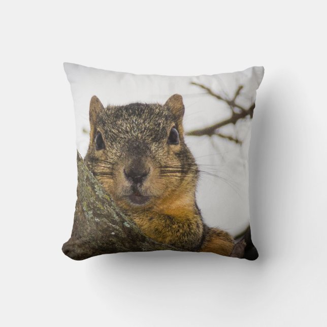 Cute Squirrel Cushion (Front)