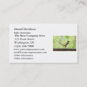 Cute Squirrel Doing Tai Chi Business Card