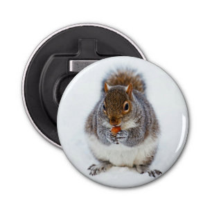 Cute Squirrel Eating a Nut Bottle Opener