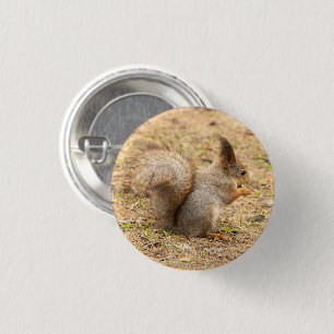 Cute squirrel eats a nut photo 3 cm round badge