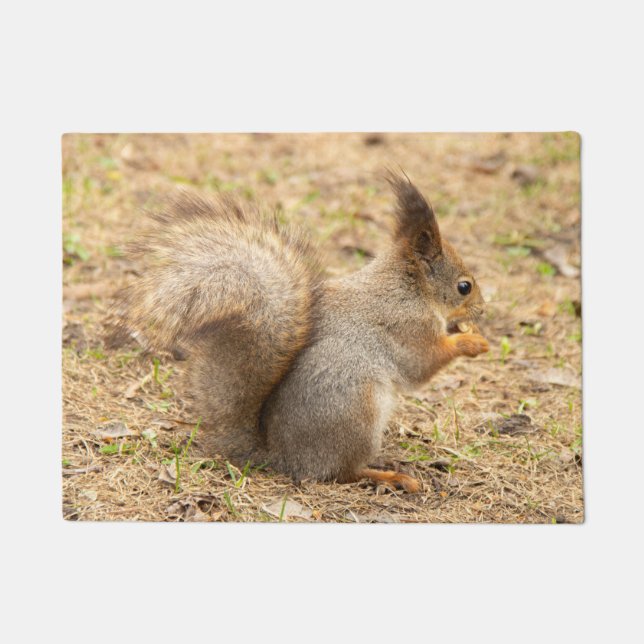 Cute squirrel eats a nut photo doormat (Front)