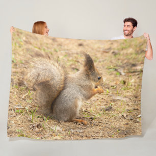 Cute squirrel eats a nut photo fleece blanket