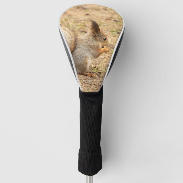 Cute squirrel eats a nut photo golf head cover (Front)