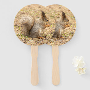 Cute squirrel eats a nut photo hand fan