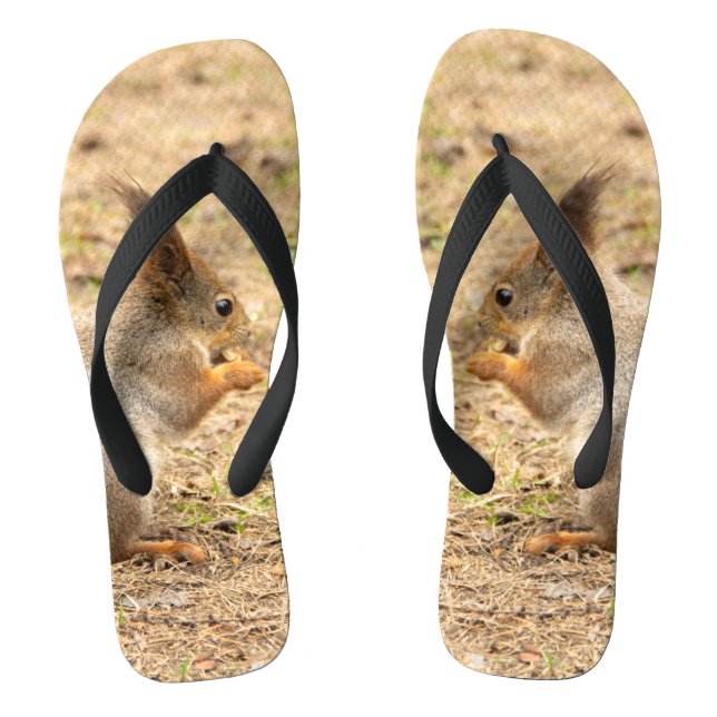 Cute squirrel eats a nut photo jandals (Footbed)