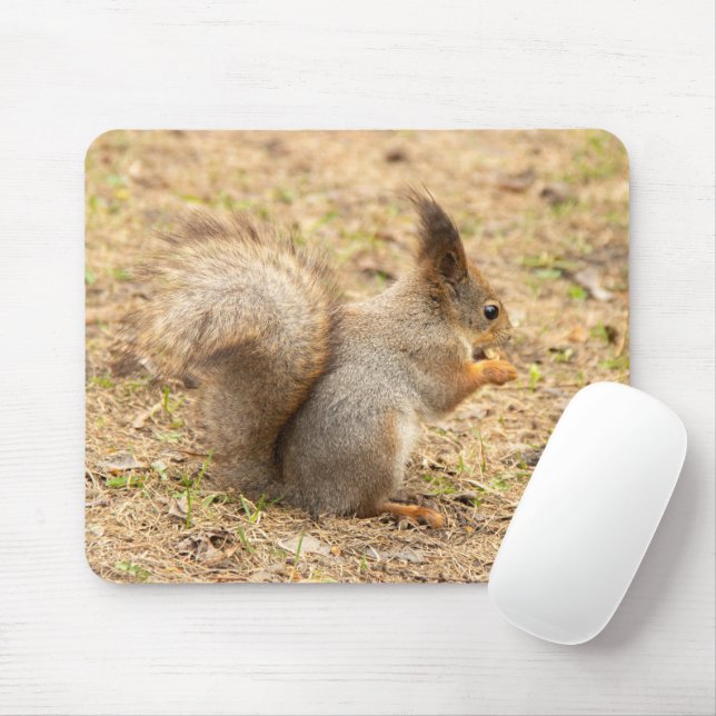 Cute squirrel eats a nut photo mouse pad (With Mouse)