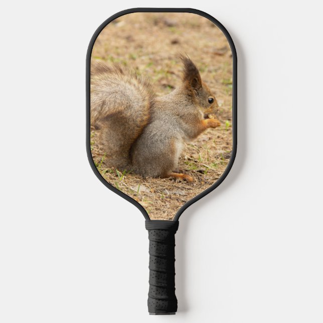 Cute squirrel eats a nut photo pickleball paddle (Front)