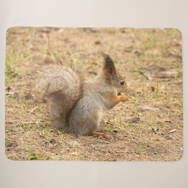 Cute squirrel eats a nut photo sherpa blanket (Front (Horizontal))