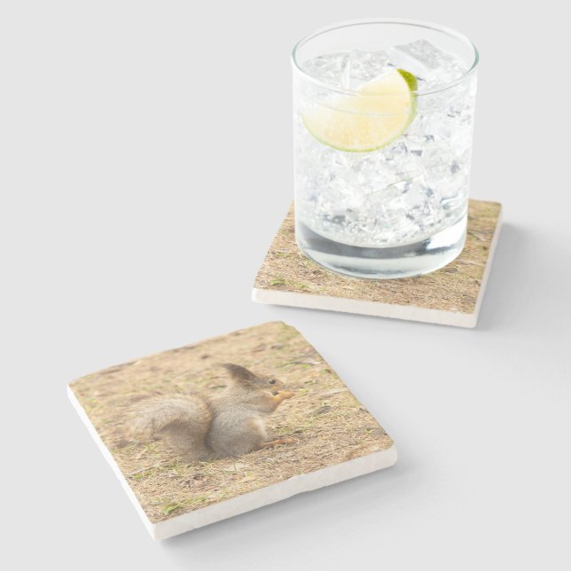 Cute squirrel eats a nut photo stone coaster (Side)